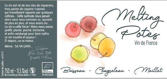 Frantz Chagnoleau 2022 Melting Potes, Vin de France, Savagnin
