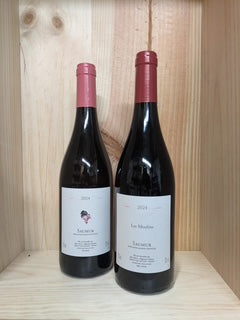 Guiberteau - Chai de la Dive 2024 Saumur Rouge, Les Moulins, Loire Valley